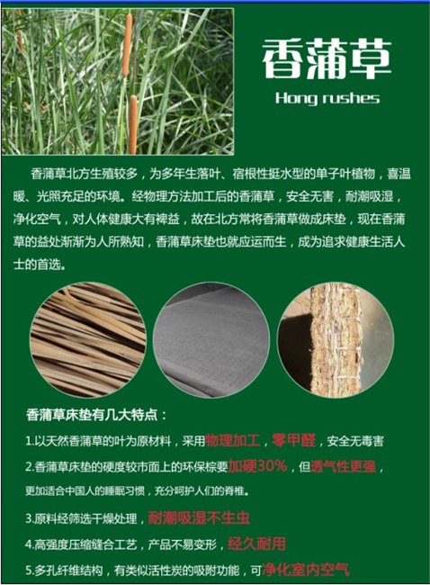 厦门金鹭宝|香蒲草床垫|香蒲草床垫哪家好|香蒲草