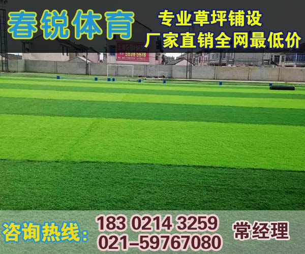 瑞安室内足球场人造草坪报价/施工报价是多少