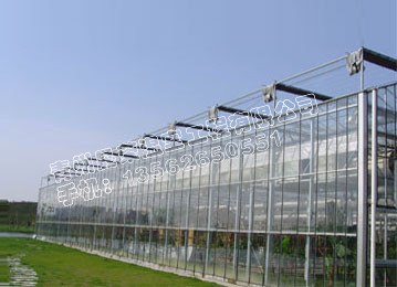 【花卉温室大棚建设*樱桃温室大棚建造*玻璃板温室
