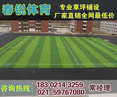 海宁人造草皮/人造草坪施工