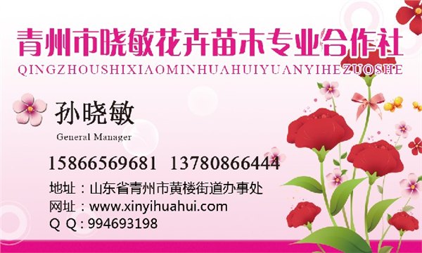 供应山东垂吊牵牛价格绿化垂吊牵牛批发四季草花基地
