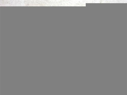 信加鑫机床电缆保护链规格齐全电缆保护链