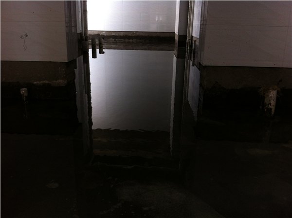 楼顶防水工程|想要购买质量好的环氧地坪找哪家
