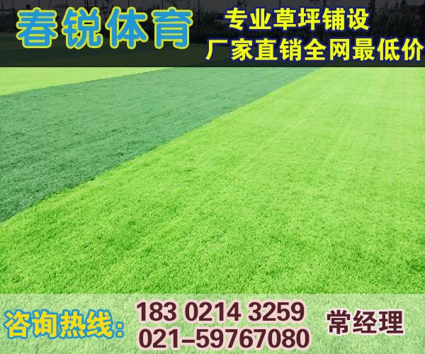 淳安足球场/体育场馆人造草皮施工