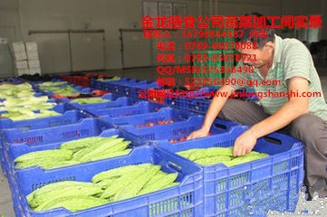 东莞市石排镇田边蔬菜配送中心