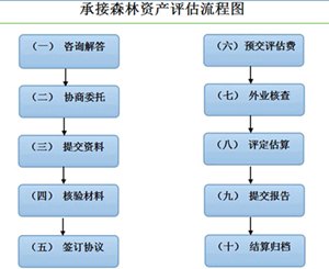 吉林省森林景观价值评估|首选铭威森林资源资产评估有限公司