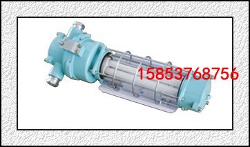 DGS系列隔爆型荧光灯型号齐全品质优良