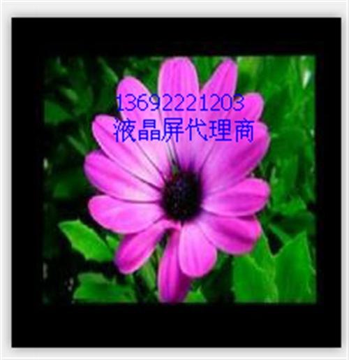 液晶屏_群创液晶屏原装金泰彩晶_群创5寸液晶屏