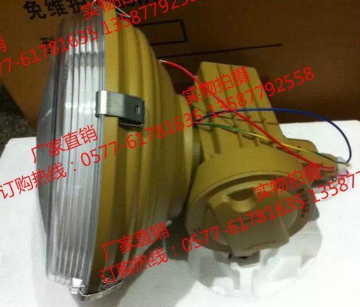 SBF6105-YQL120D免维护节能防爆道路灯 护栏式三防灯