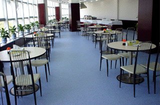 得嘉Stella闪星3.5mm多层泡沫式商用胶地板