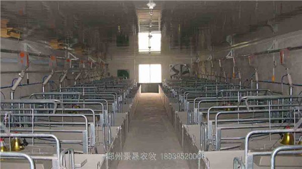 保温猪舍厂家 河南哪里有供应最超值的保温猪舍