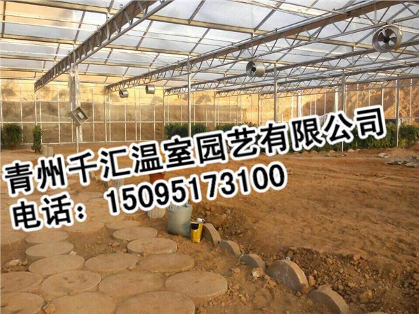 采摘园温室大棚建造费用