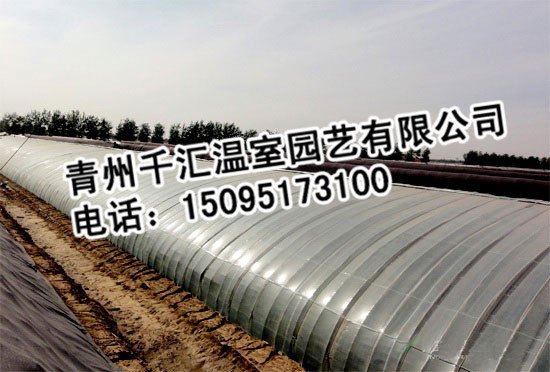 好的温室大棚市场价格情况