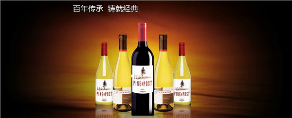 选择专业的苹果醋饮料招商，就来葡蝶佳商贸公司