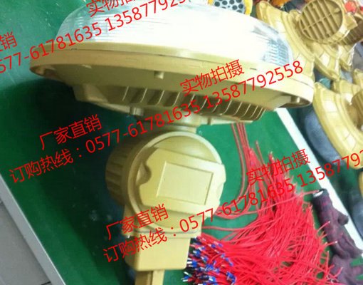 SBF6106-YQL65D三防免维护照明灯 防水防尘防腐无极灯