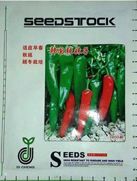 寿光绿兴辣椒种苗