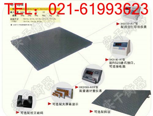 抗缓冲电子傍称，10吨地泵