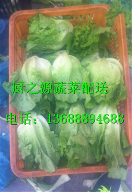 广州蔬菜配送物流配送