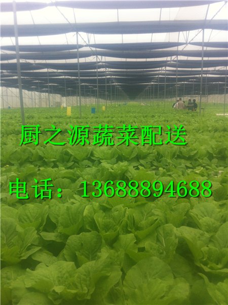 萝岗送菜公司生活好帮手