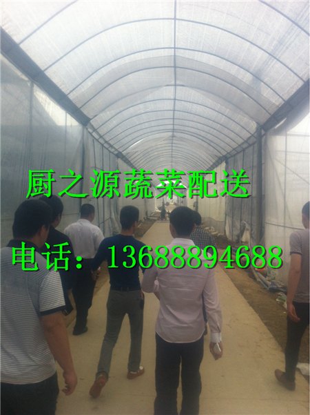 黄埔农产品配送批发价格