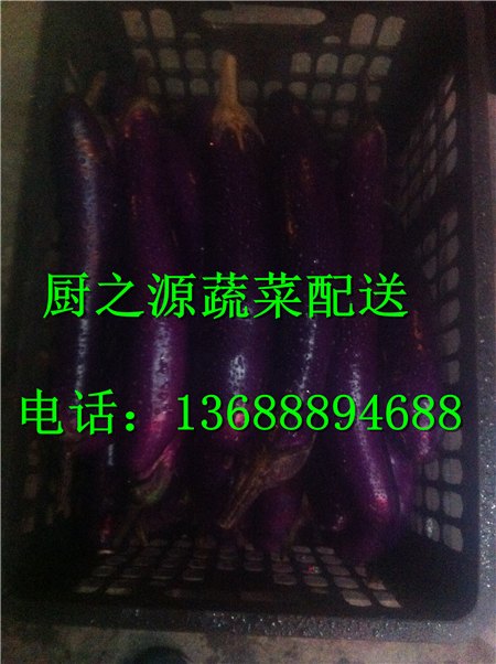 东圃送菜公司报价