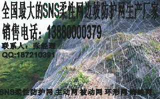 朝阳主动防护网销售价格