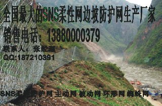 秦皇岛环形被动防护网价格
