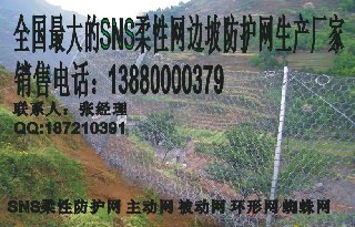 张家界柔性安全防护网公司