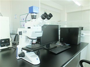 材料成分分析