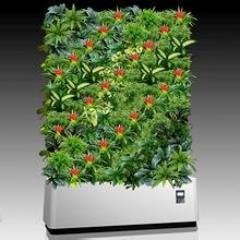 江阴植物墙|江阴植物墙施工哪家好|江阴植物墙种植