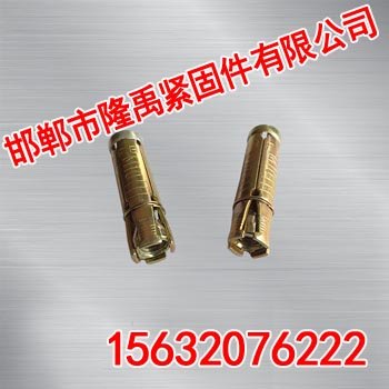 四片壁虎【隆禹紧固件】