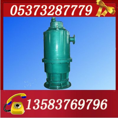 3KW矿用隔爆型排污排沙潜水电泵