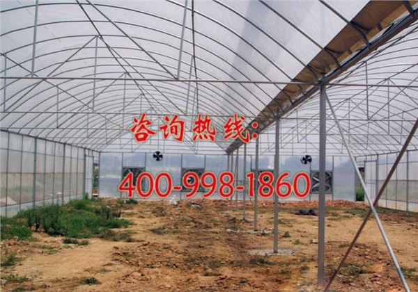 玻璃温室大棚建造专家
