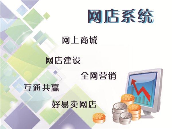电子商城建设公司 专业的网店系统公司·领航网络科