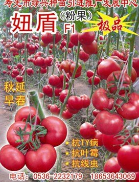 寿光绿兴种苗