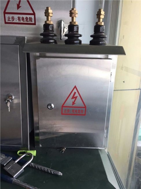 DMB-1变压器保护开关箱专业生产商