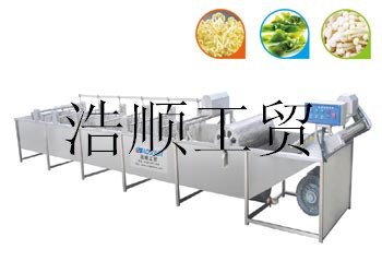 供应蔬菜多功能清洗机 高压气泡清洗机 
