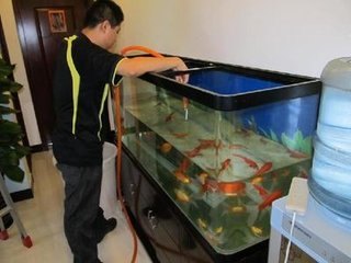 杭州专业承接鱼缸养护鱼缸每月清洗