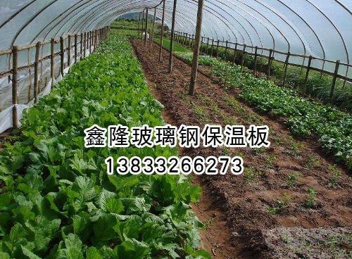 蔬菜大棚供应厂家
