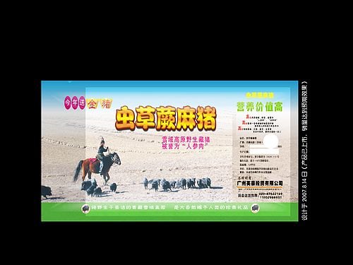 供甘肃塑料包装袋批发