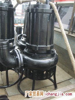 河道排沙泵，河水灰浆泵，耐磨抽泥泵