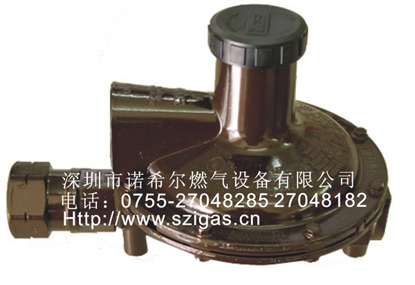 资质认证厂家直销美国REGO LV4403TR4调压器