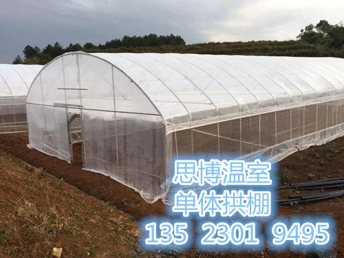 安阳蔬菜大棚安阳蔬菜大棚建造安阳蔬菜大棚公司