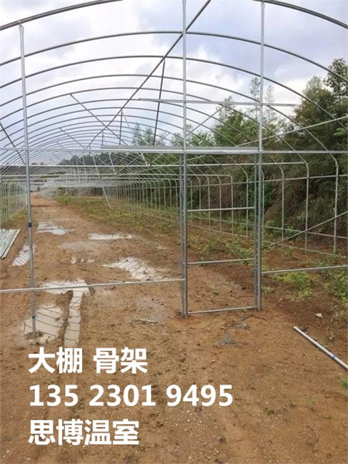 新乡草莓大棚建造新乡蔬菜大棚公司