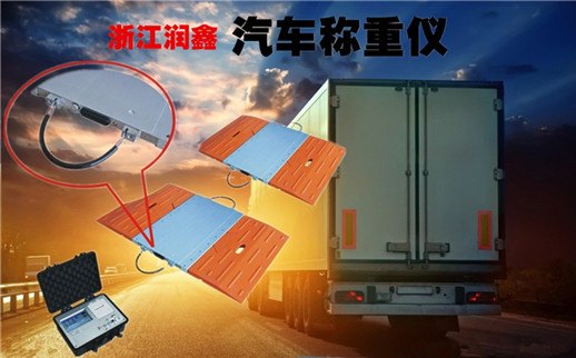 STW-18 便携式轴重检测仪  真实力 真品质！ 