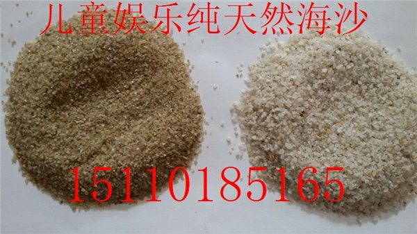 天然海砂价钱  海沙直销   海砂图片 