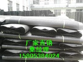 车库楼顶绿化滤水板【廊坊塑料排水板价格】