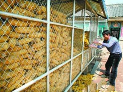 菱形金属板网厂家批发