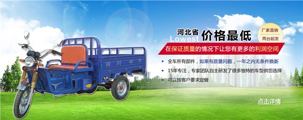 专业生产【电动三轮车】，需要请您联系我，愿与您建