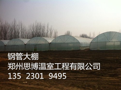 郑州简易连栋拱棚价格郑州连栋大棚建造